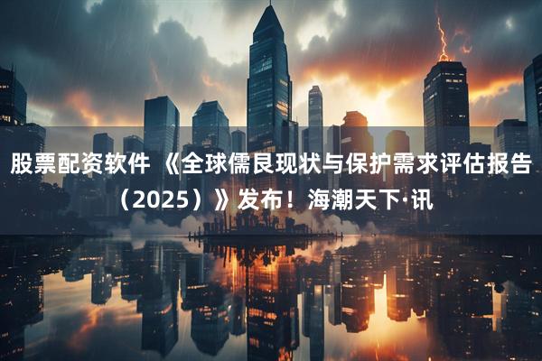股票配资软件 《全球儒艮现状与保护需求评估报告（2025）》发布！海潮天下·讯